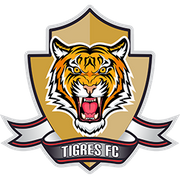 Tigres Zipaquira
