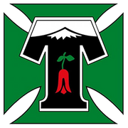 Deportes Temuco