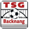 FSV Hollenbach